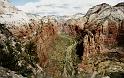 F007 N.P. Zion